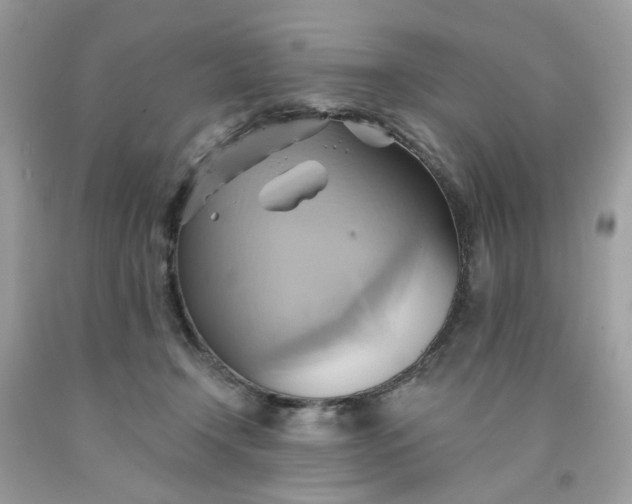 X0000091580366200709051105