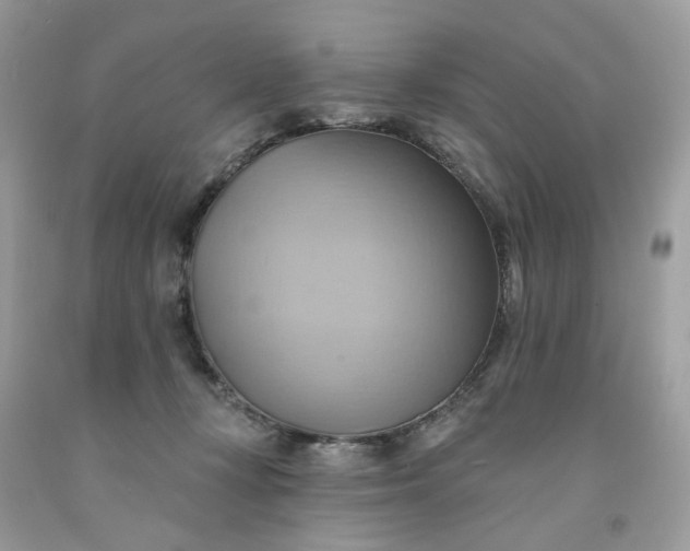 X0000091580367200709051105