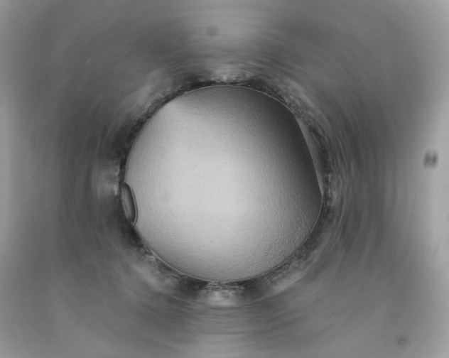 X0000091580368200709051105