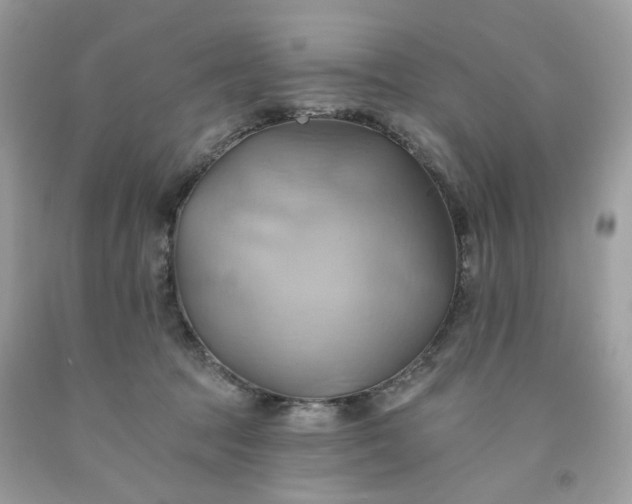 X0000091580369200709051105