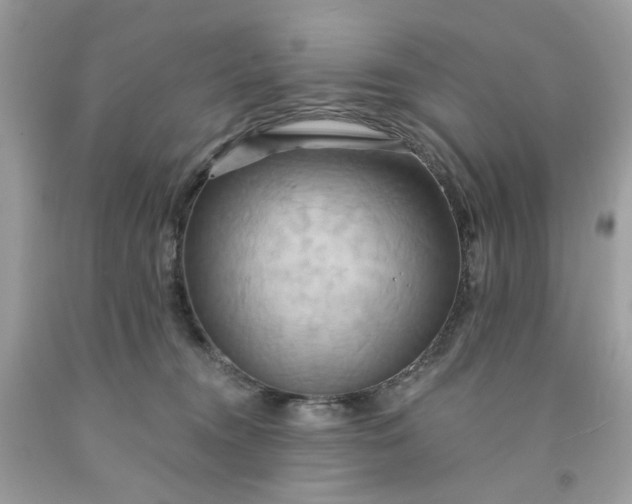 X0000091580372200709051105