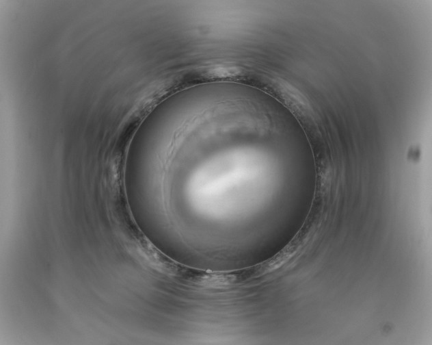 X0000091580373200709051105