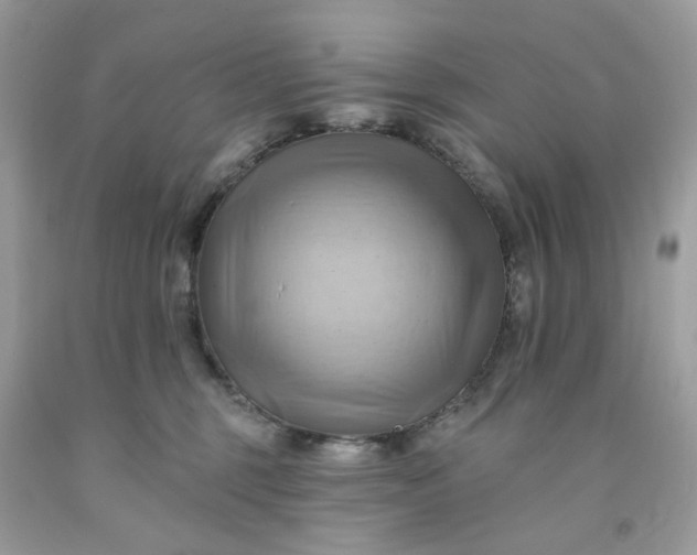 X0000091580375200709051105