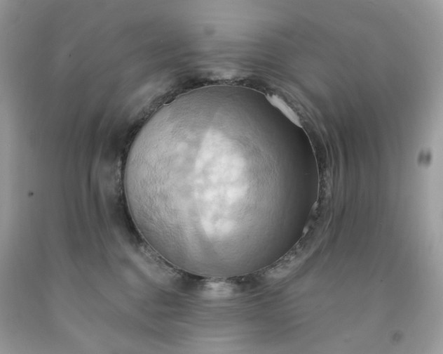 X0000091580376200709051105