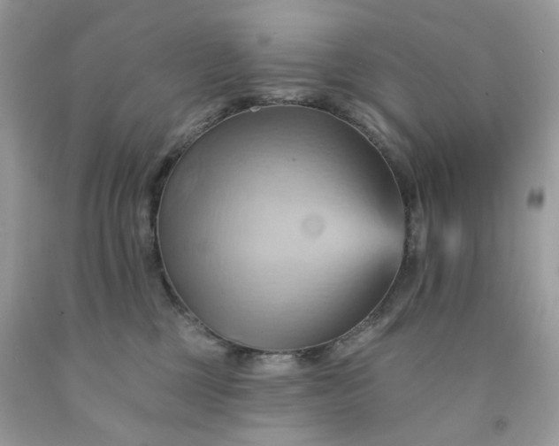 X0000091580377200709051105