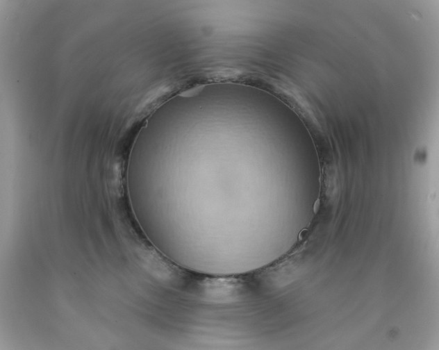 X0000091580378200709051105