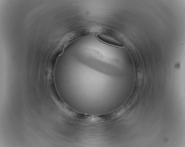 X0000091580379200709051105