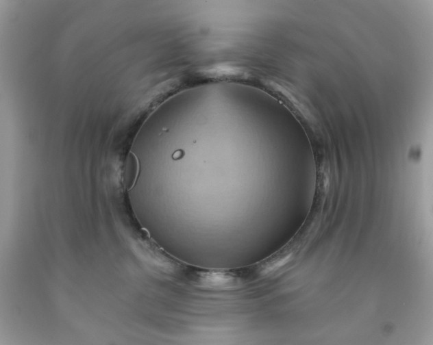 X0000091580380200709051105