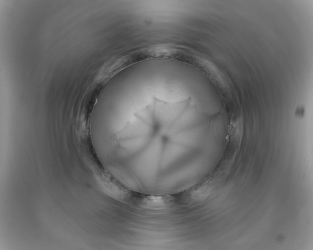 X0000091580381200709051105