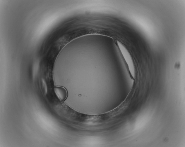 X0000091580382200709051105