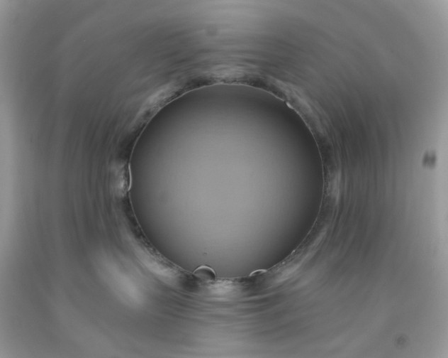 X0000091580383200709051105