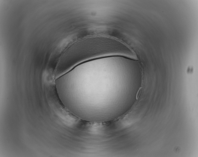 X0000091580384200709051105