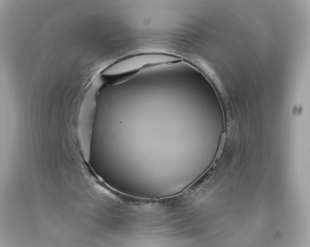 X0000091580385200709051105