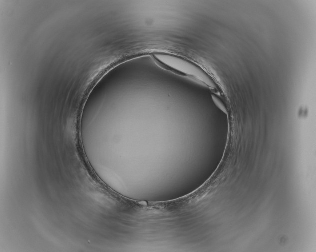 X0000091580386200709051105