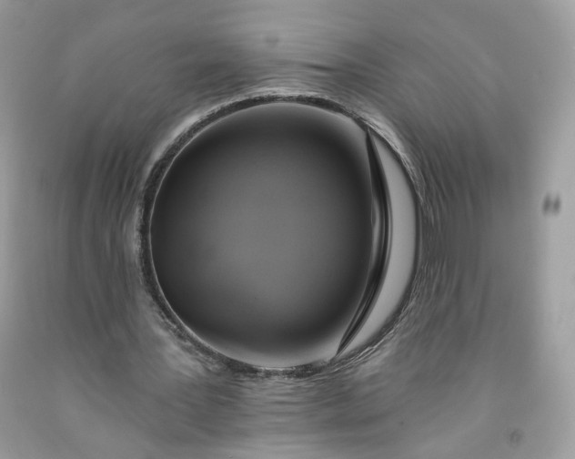 X0000091580387200709051105