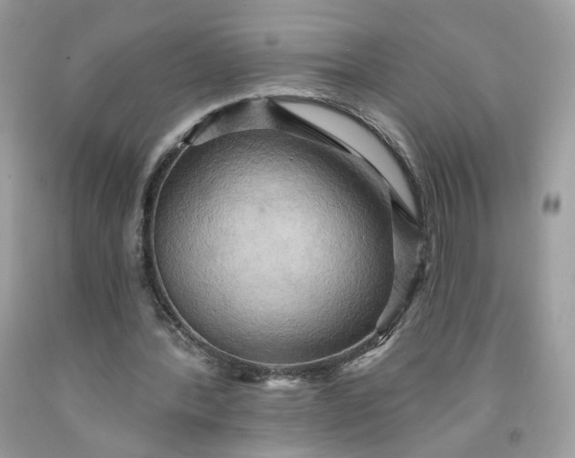 X0000091580388200709051105