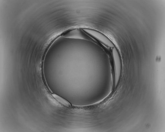 X0000091580389200709051105