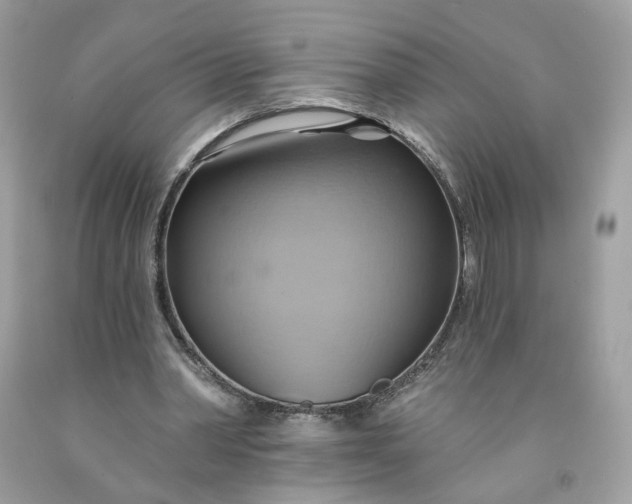 X0000091580390200709051105