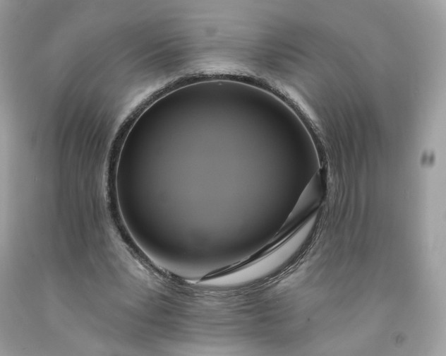 X0000091580391200709051105