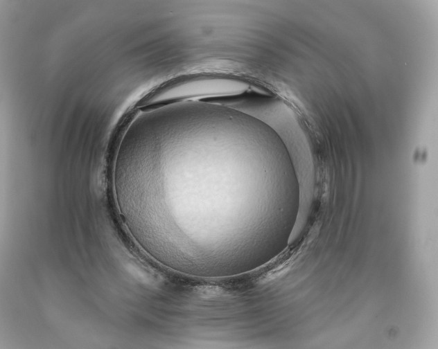 X0000091580392200709051105