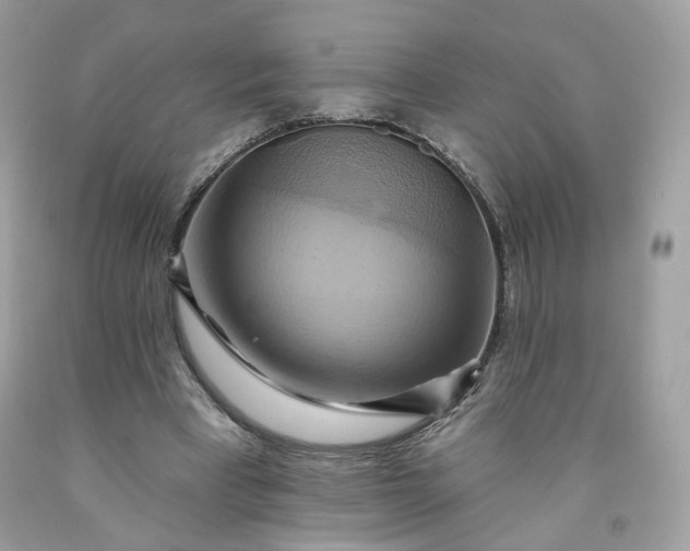 X0000091580393200709051105