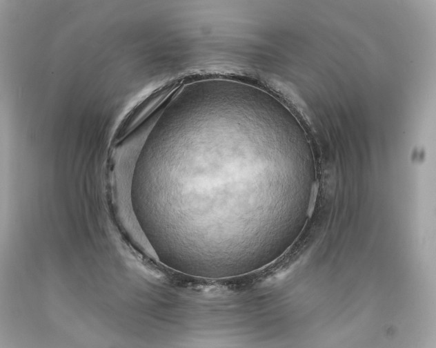 X0000091580395200709051105