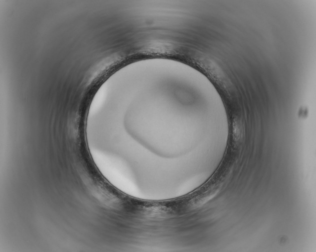 X0000091580396200709051105