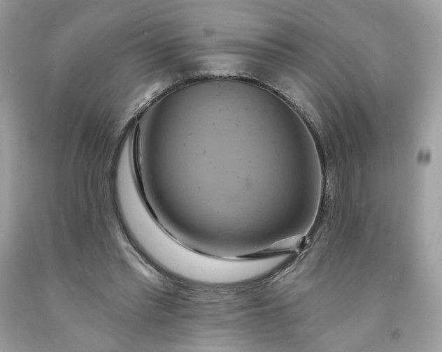 X0000091580397200709051105