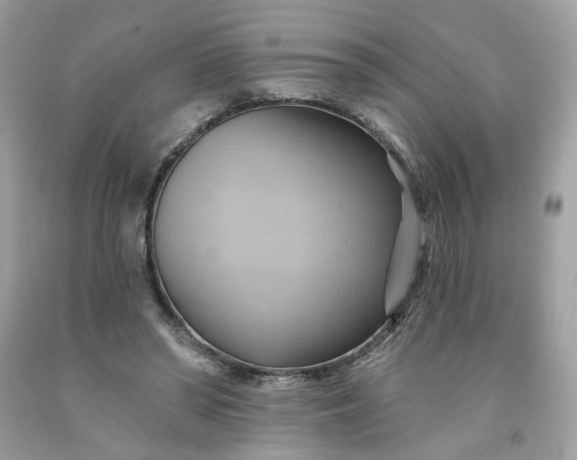 X0000091580398200709051105