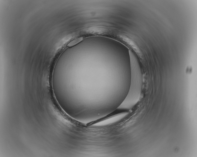 X0000091580399200709051105