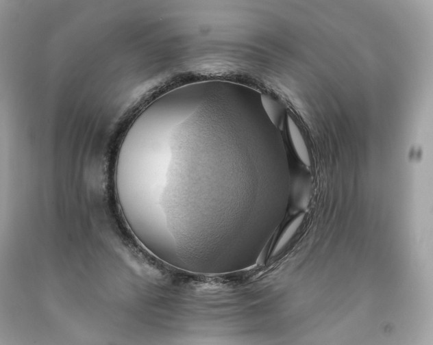 X0000091580400200709051105