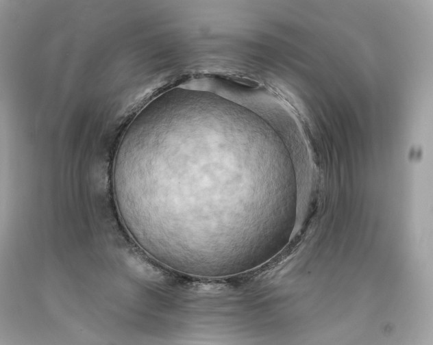 X0000091580401200709051105