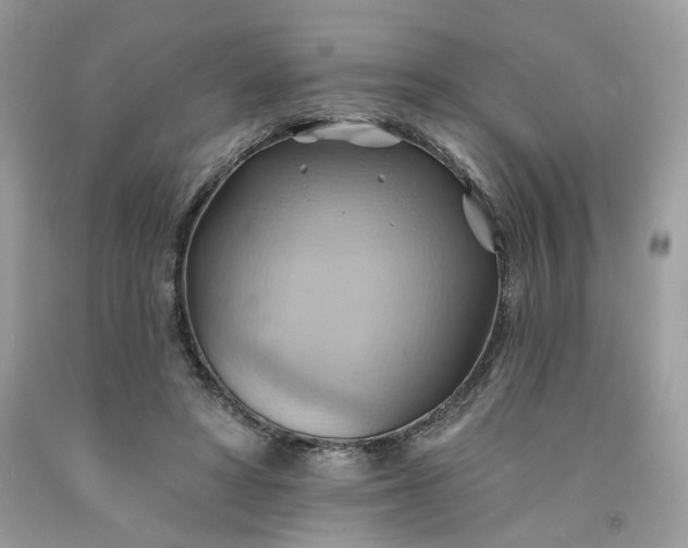 X0000091580402200709051105