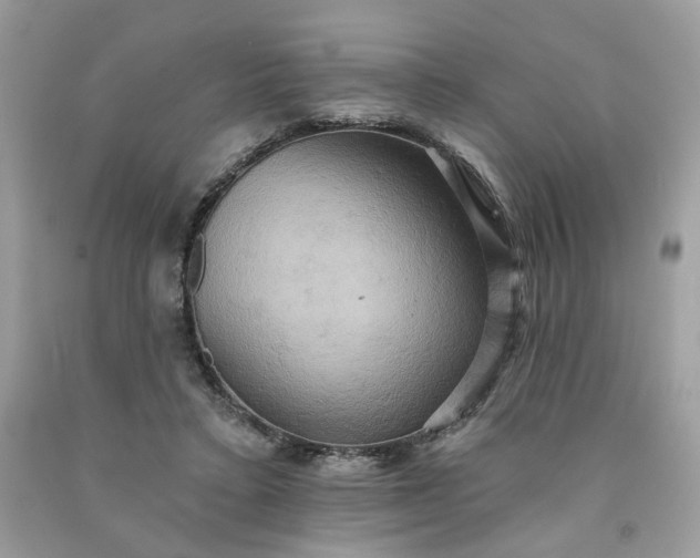 X0000091580403200709051104