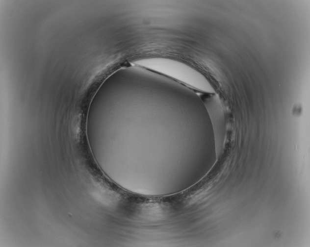 X0000091580404200709051104