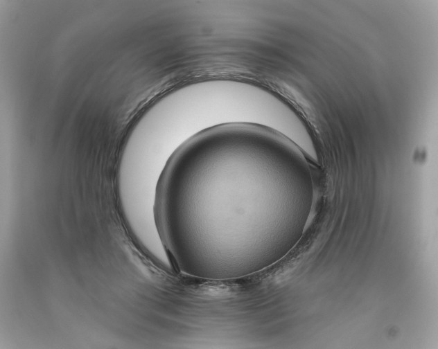 X0000091580405200709051104