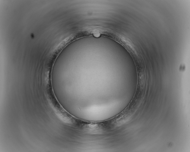 X0000091580406200709051104