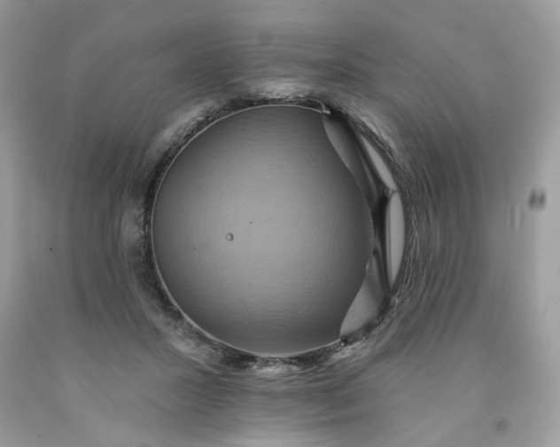 X0000091580407200709051104