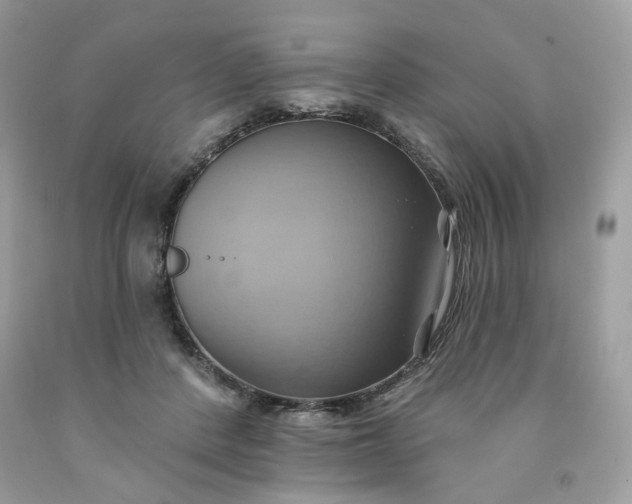 X0000091580408200709051104