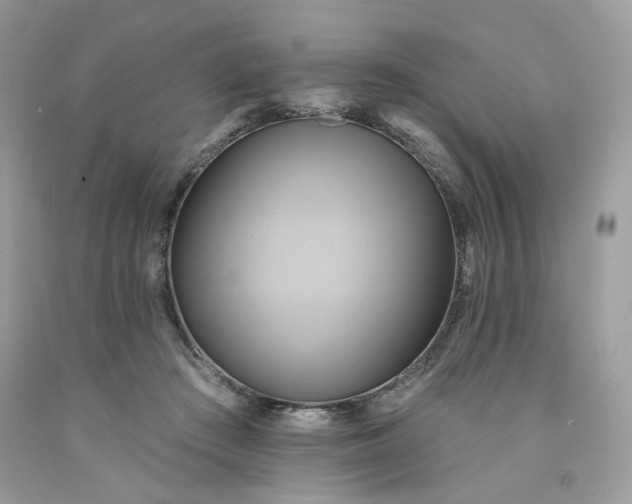 X0000091580409200709051104