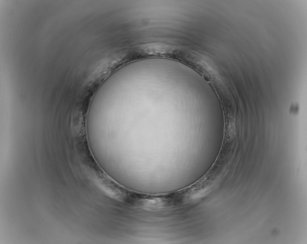 X0000091580411200709051104