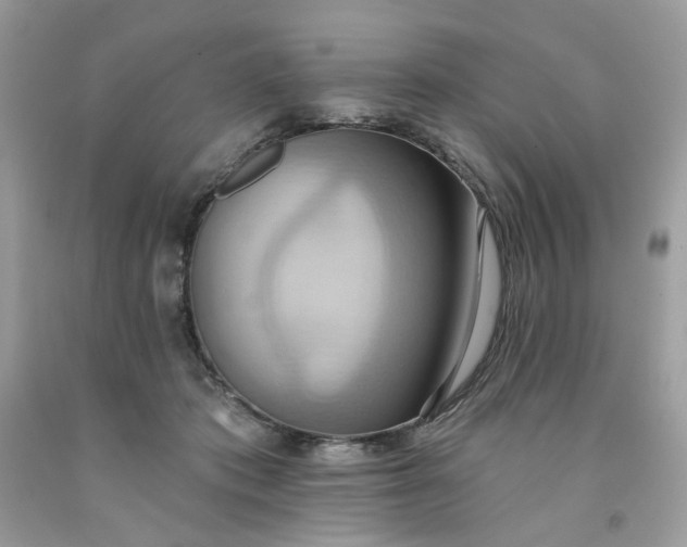 X0000091580413200709051104