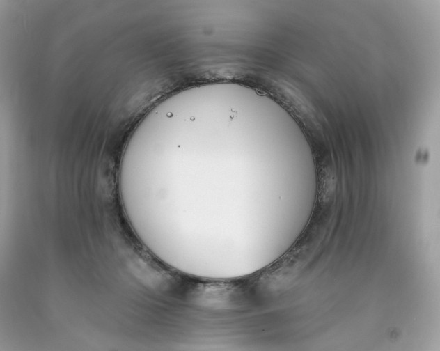 X0000091580414200709051104