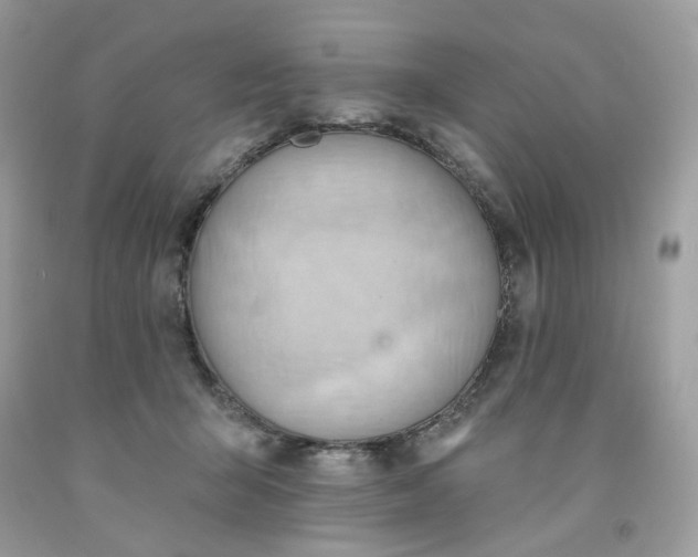 X0000091580415200709051104