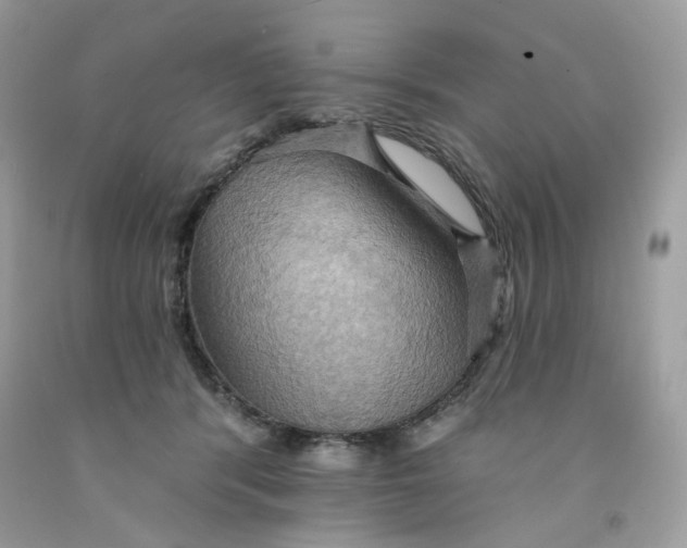 X0000091580416200709051104