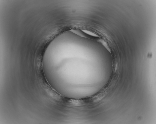 X0000091580417200709051104