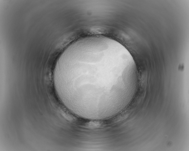 X0000091580418200709051104