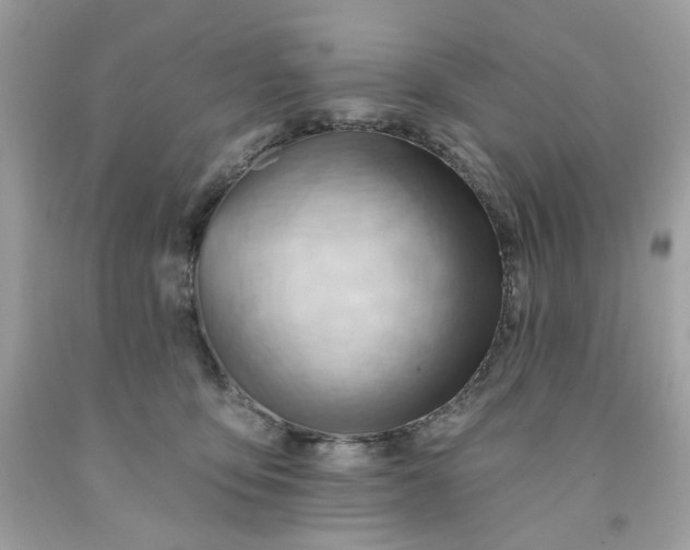 X0000091580419200709051104