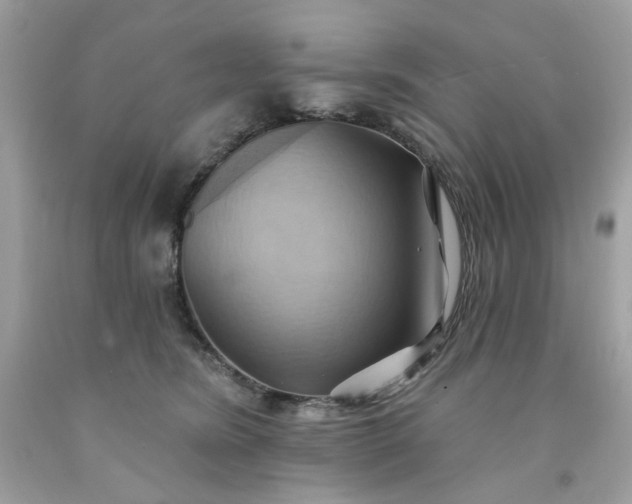 X0000091580420200709051104