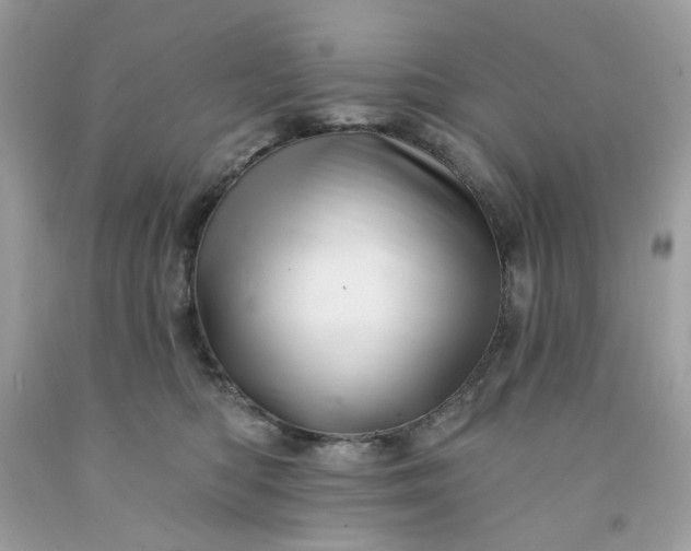 X0000091580422200709051104